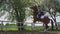 Female Jockey On The Back Of A Bay Horse - The Horse Rearing Up In Excitement