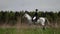 A female jockey rides her white horse through the woods