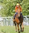 Female jockey riding a brown gallop arabian race horse