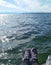 A female jogger at lake starnberg