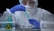 Female lab worker examining biohazard fluids in tubes, dangerous work, chemistry