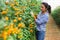 Female latino farmer cultivates yellow tomato growth