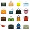 Female leather handbags and male accessory. Colorful handbag accessories, beauty bags and purse model collection vector