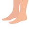 Female legs barefoot, side view. Graceful bare female feet. Vector isolated illustration on white background