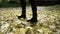 Female legs in black boots walking on fallen leaves in autumn day