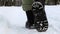 Female legs in black boots, winter walk in the snow. Active woman walking away from the camera in the winter forest. Focus on your