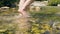 Female legs cross stony river closeup. Barefoot woman walk in transparent river