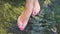 Female legs cross stony river closeup. Barefoot woman walk in transparent river