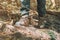 Female legs hiking in autumn forest outdoor.