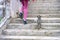 Female legs and little kitten climbing up on stair steps. Young tourist calling cute abandoned hungry kitten. Authentic lifestyle