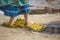 Female legs stand on excrements of an elephant