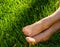 Female legs in stockings close-up on green grass