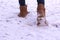 Female legs walk in the snow. Brown boots