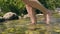 Female legs walking in river shallow and transparent water background