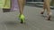Female legs walking with shopping bags in the street