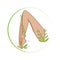 Female legs winded with stylized plant. Organic feet cosmetics symbol. Female legs health sign.