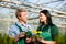 Female and male gardener in market garden