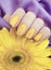 Female manicure, gerbera flower elegance,lifestyle  silk fabric