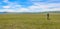 A female mongolian herder, herding cattle on the grassland by horse