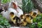 A female muscovy duck Cairina moschata with her young brood