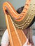 Female musician harpist playing wooden harp  during symphonic concert on a stage, with other musicians in the background, close up