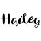 Female name - Hailey. Lettering design. Handwritten typography.