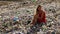 Female nature pollution activist sits at huge trash dump