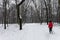 Female Nordic walker in Park Slaski