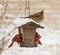 Female Northern Cardinal sitting on top of a bird feeder in snowfall