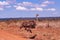 Female Ostrich Nature Fields Meadows Cloud Sky Kenyan Landscape Nairobi National Park Only City Park In The World Nairobi