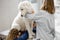 Female owner hugs and calm a big white sheepdog