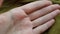 Female palm and fingers with white skin on the background of khaki fabric