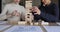 Female partners playing jenga game on office table, close up