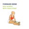 Female Paschimottanasana Easy Variation with Yoga Strap Illustration. Colorful Concept of Forward Bend Yoga Pose.