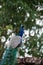 Female Peacock in Bonacaud forest is remotly located in western ghats