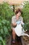 Female pensioner watering tomatoes from a watering can in a greenhouse