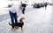 Female petting a dog on a street, on cobblestone sidewalk, Lisbon, Portugal