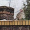 Female pheasant sitting on stone fence and looking back