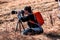 Female Photographer Focuses on the migrating snow geese