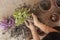 Female planting home plants. Young middle eastern woman planting flower in the pot. Girl gardening. House wife transplanting plant