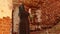 A female priest with a lantern in his hand enters a ruined church.