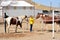 Female rancher.