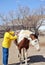 Female rancher.