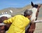 Female rancher bonding with horse.