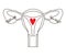 Female Reproductive System. Gynecology Icon