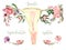 Female reproductive system scheme painted in watercolor on clean white background