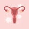 female reproductive system women uterus ovary graphic