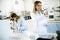 Female researchers in white lab coat working in the laboratory