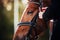 A female rider adjusts the rein on the bridle worn on the face of a sorrel racehorse. Equestrian sport