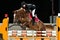 Female rider participates in horse jumping